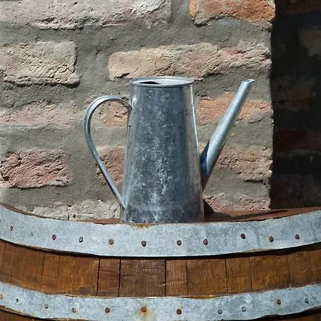 Bíborlak 7